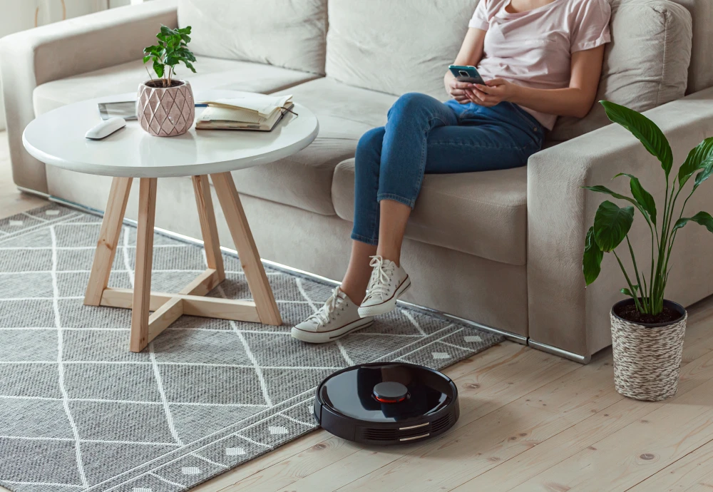 affordable robot vacuum cleaner